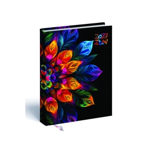 2-Day B/6 k�tnapi