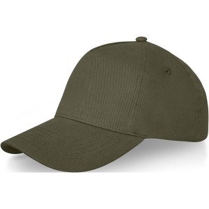 Doyle 5 paneles baseballsapka, erd�z�ld