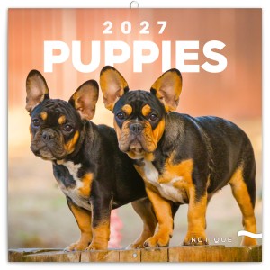 Lemeznapt�r Puppies 2027, 30 � 30 cm