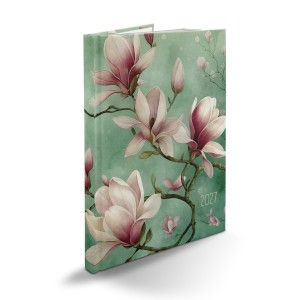 Picture B/5 heti