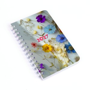 SP 3 mini heti