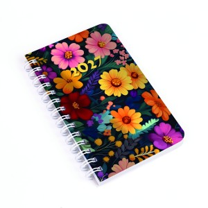 SP 3 mini heti